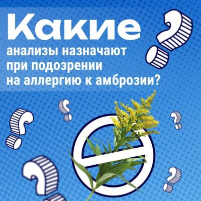 Какие анализы назначают при подозрении на аллергию к амброзии?